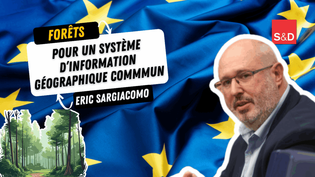 Eric Sargiacomo forêts
