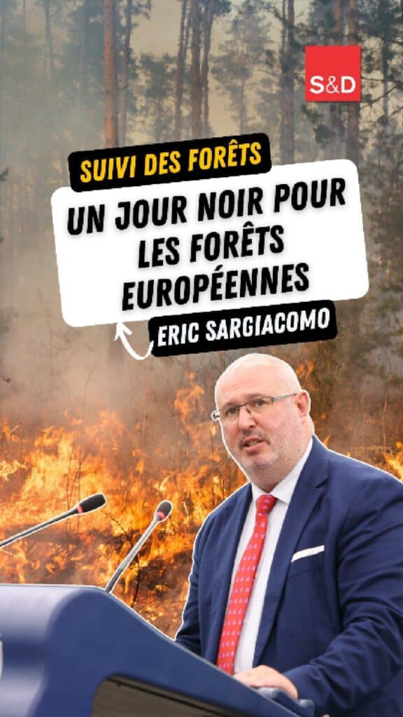 Jour noir pour nos forêts