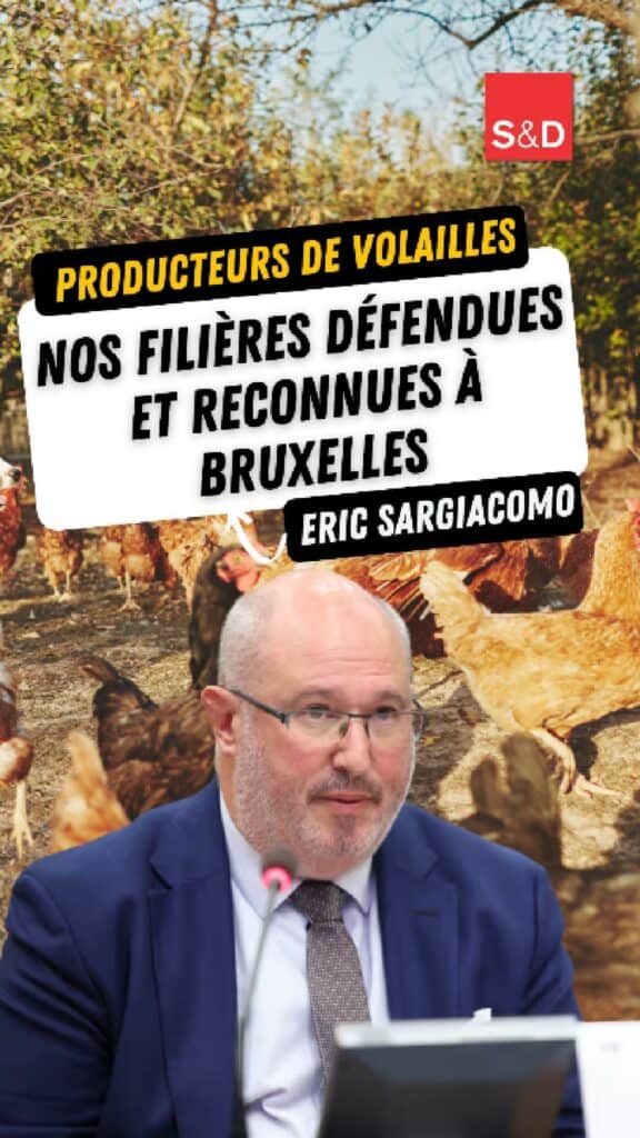 Producteurs de volailles, filières agricoles reconnues à Bruxelles, soutien à l'agriculture locale, député européen Eric Sargiacomo.